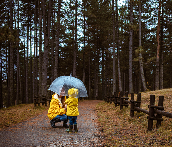 Umbrella Insurance
